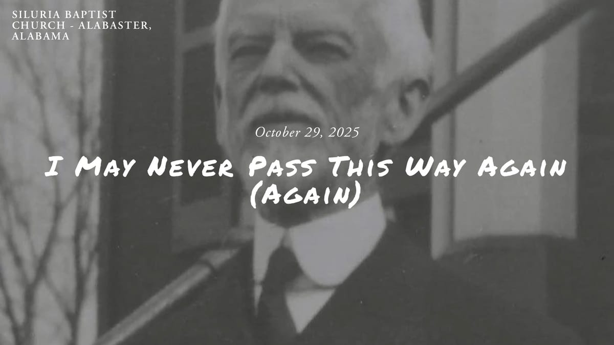 I May Never Pass This Way Again (Again)