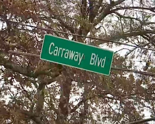 Birmingham OKs 64 Rental Homes at Old Carraway Site